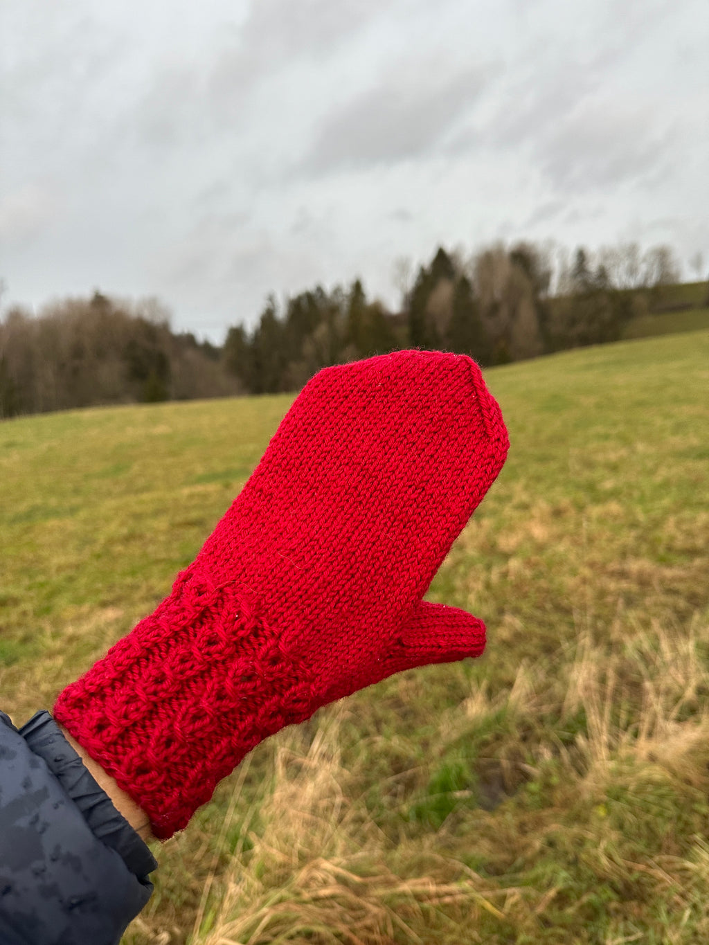 Bestemors julevotter- oppskrift